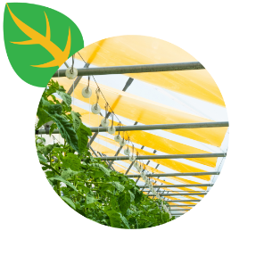 Spectrum Control in Your Greenhouse